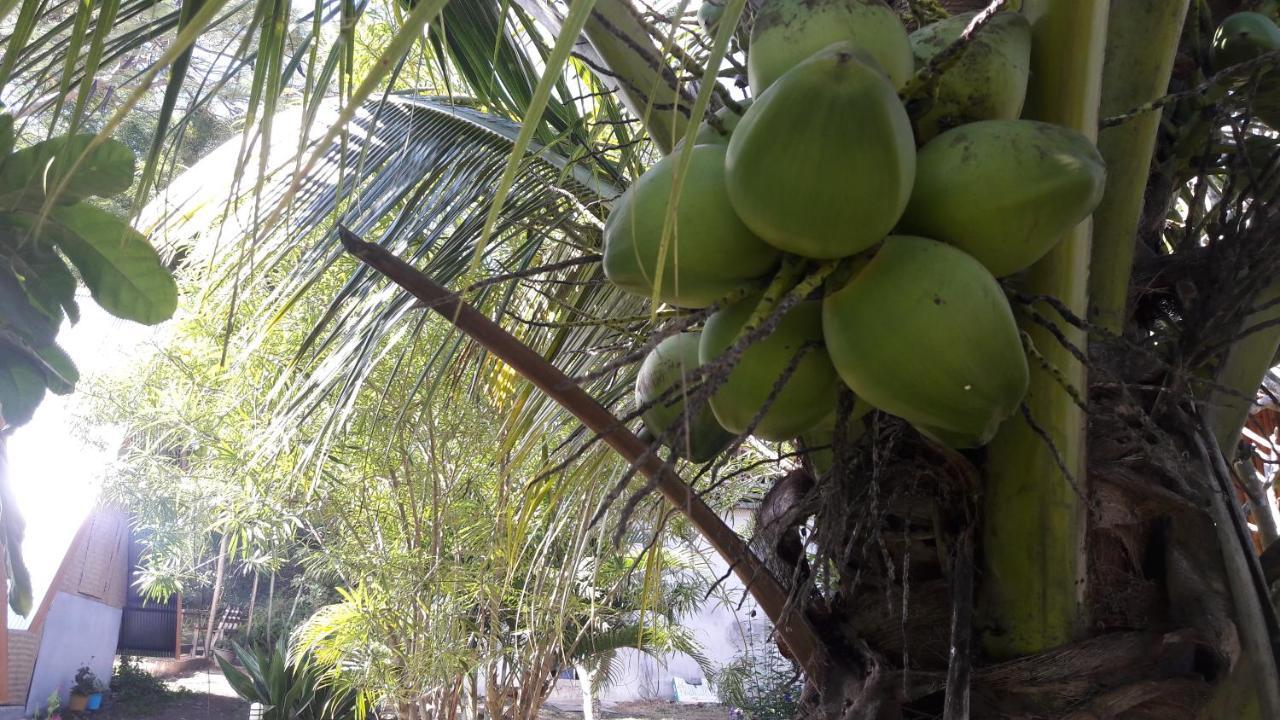 Nusha Homestay Pai Buitenkant foto