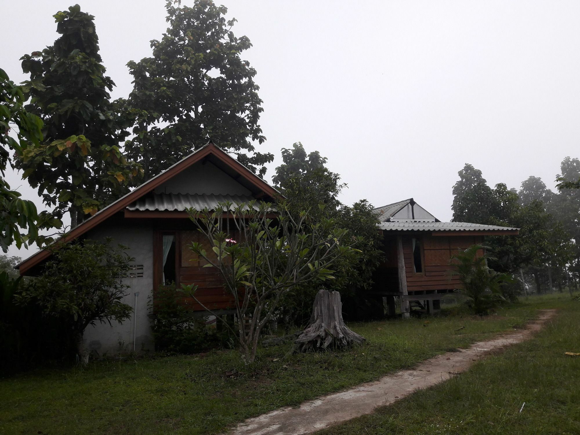 Nusha Homestay Pai Buitenkant foto